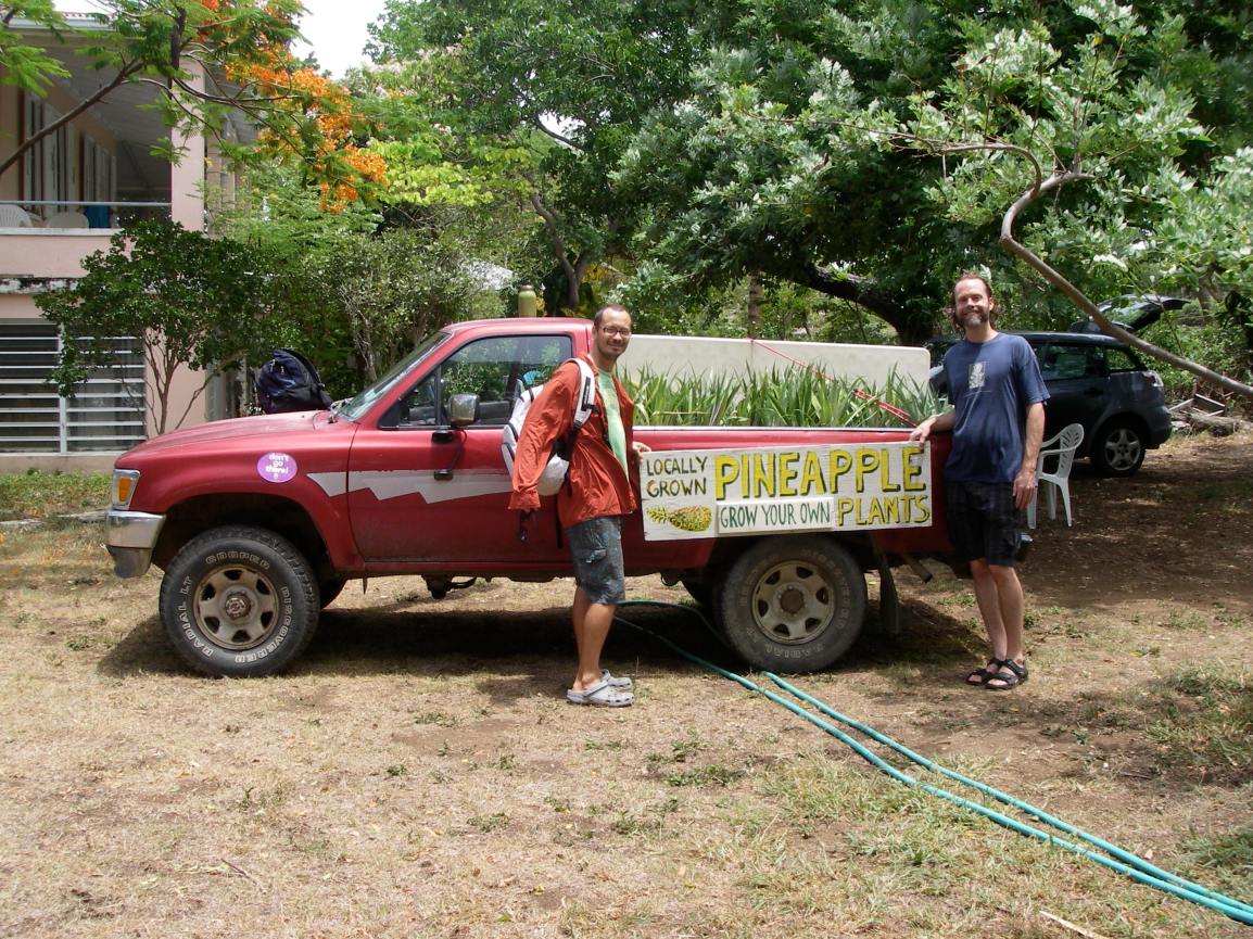 Luca Gasperi and Eric Ogden in 2008 with our red pickup truck holding the "Grow Your Own Pineapples" sign, on our way to Mango Melee!