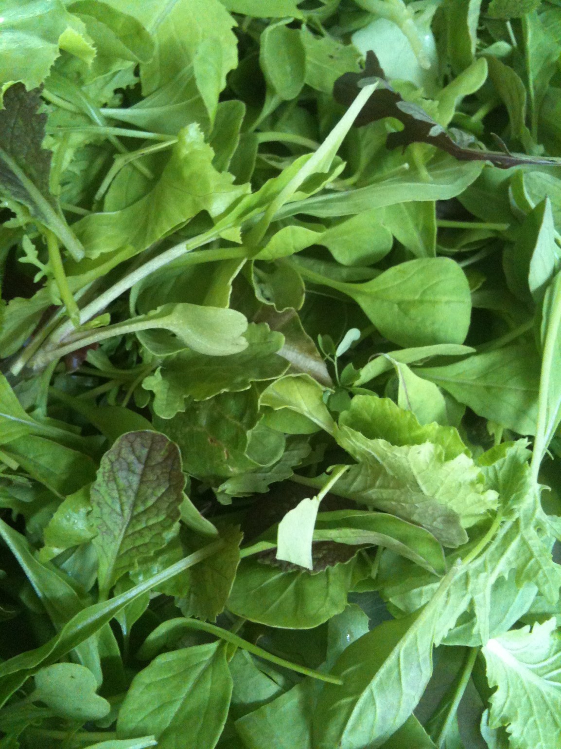 ARTfarm Wednesday Popup 1/15/25, 5:30 –&nbsp;6:15pm