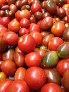 A huge pile of harvested plum and slicer tomatoes at ARTfarm.