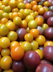 A big basket full of orange sungold cherry tomatoes and purple ball cherry tomatoes at ARTfarm