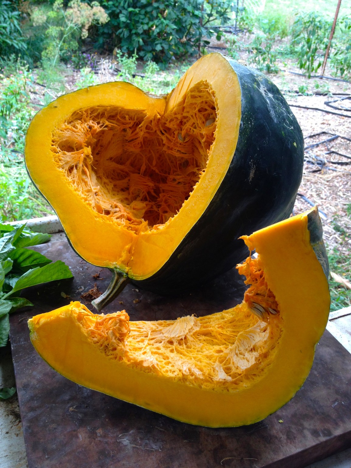A large green-skinned pumpkin is cut open to reveal a rich orange flesh inside. A generous slice sits next to the pumpkin.