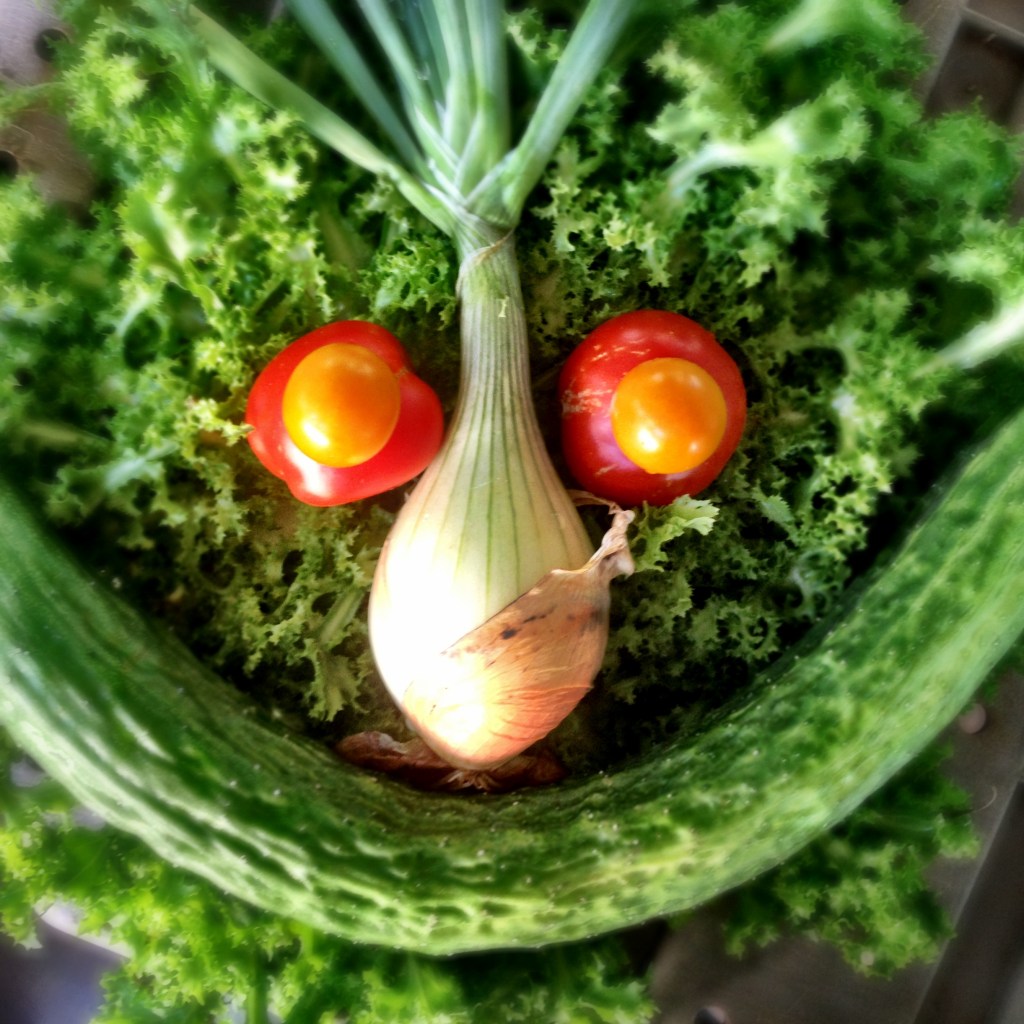 A face made of vegetables; frilly endive forms the round face with an onion with its top for a nose and eyebrows, a big cucumber smile, and slicer and cherry tomatoes stacked up as the eyes.