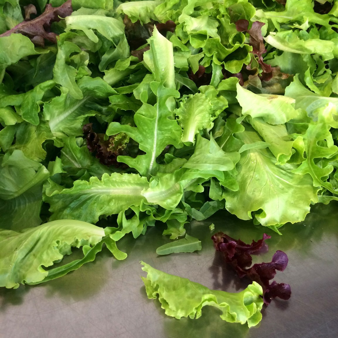 Cuke-a-Monga! ARTfarm Pickups tomorrow Wednesday January 10th! 4:30pm –&nbsp;6:00pm