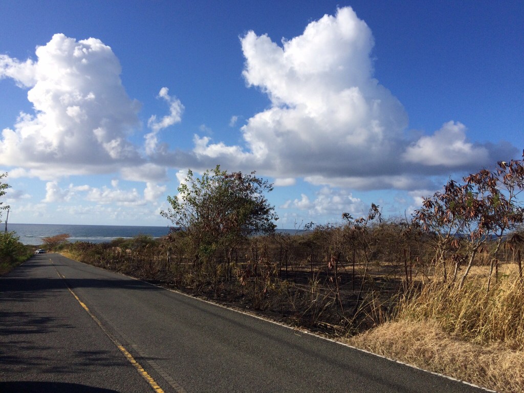 Looking south near the east end of the farm. The VI Fire Service was able to contain and control this brushfire, in part because winds were not strong.