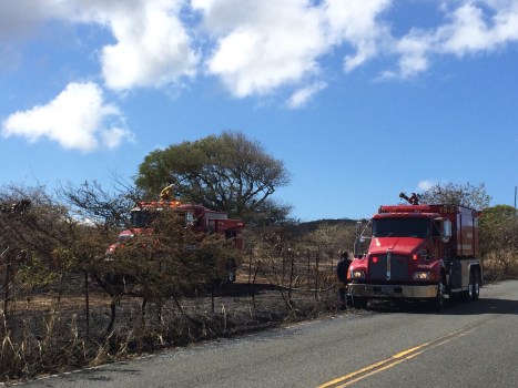 VIFS pumper trucks from Richmond C shift, East End and Grove Fire Stations helped us out Wednesday afternoon, and came back Wednesday night to assist with the new roadside fire. 