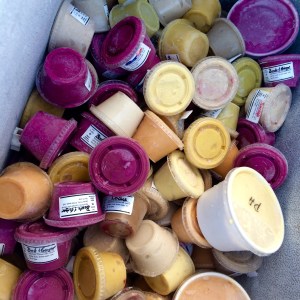 Delicious local fruit flavors in single-size cups - coconut-based vegan ice cream from I-Sha is made with handmade local coconut cream, brown sugar, spices and local fruits and veggies! We've got spoons to lend at the farmstand, so take a moment and cool off with a little treat! 