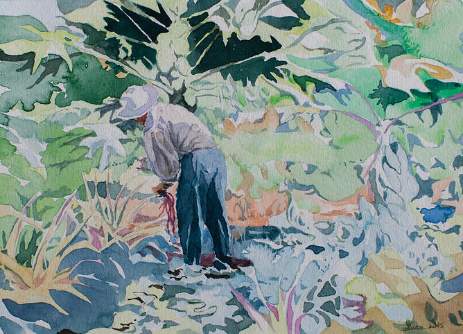 Chicco Picking The Beans, watercolor (c)2015 Luca Gasperi
