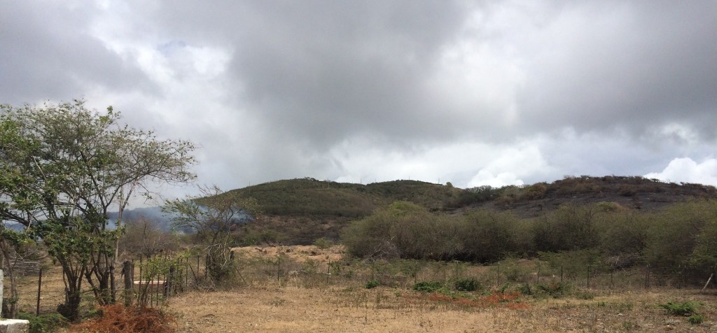 Looking north from the road near the ARTfarm entrance, Monday's reignited brushfire is seen here progressing west. Note the blackened hillside east of the smoke.