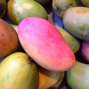 The color contrast of a Valencia Pride mango, with a gradation of hot pink to a warm yellow, stands out atop a pile of green and orange mangoes.