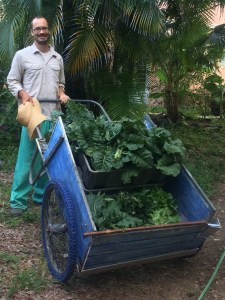 Early Saturday morning...