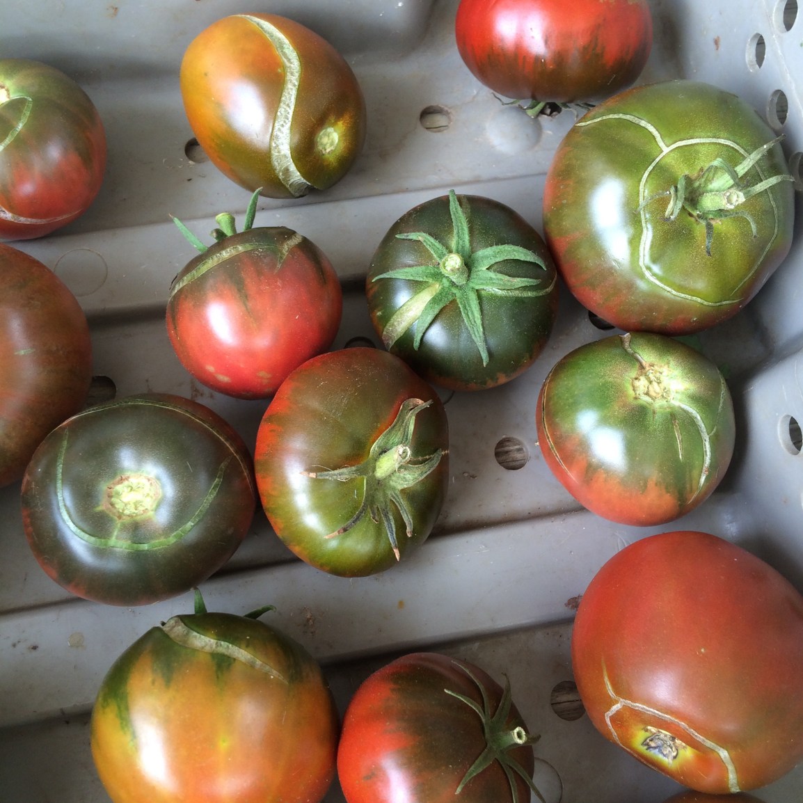 ARTfarm Saturday 10am-12noon