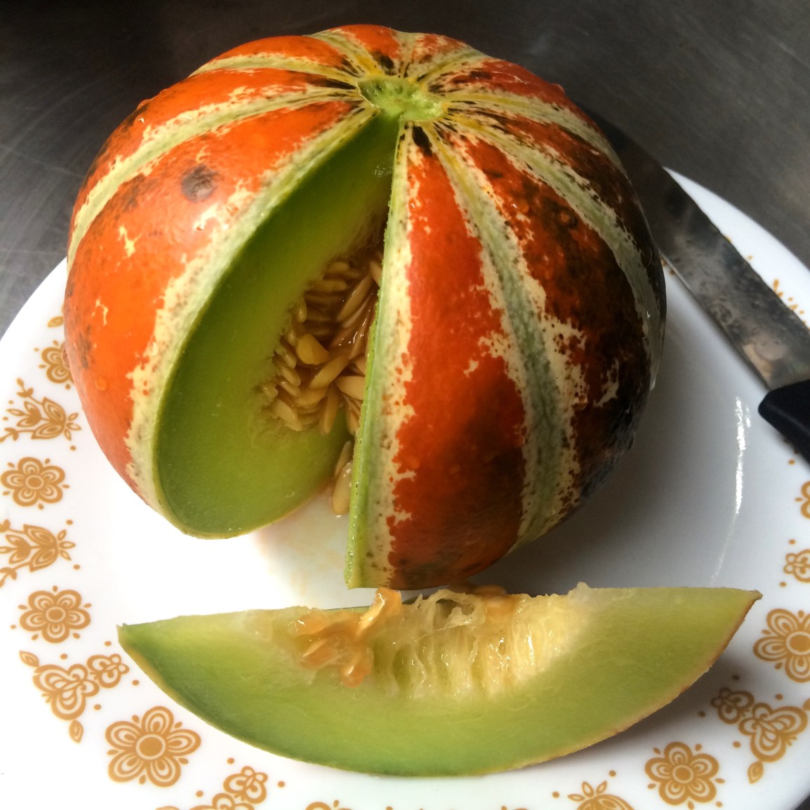 Wednesday 3-6pm: It’s a Gourd, It’s a Pumpkin,&nbsp;It’s…