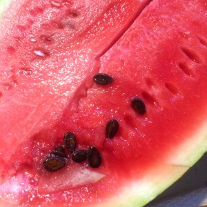 Cray-cray...this watermelon is sweeeeeet! You can save the seeds for roasting like pumpkin seeds. 