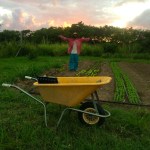 ...the original photo...