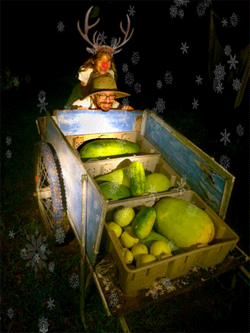 artfarm-xmas2016-ani