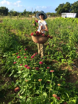 A young farmer harvesting zinnia flowers at ARTfarm.