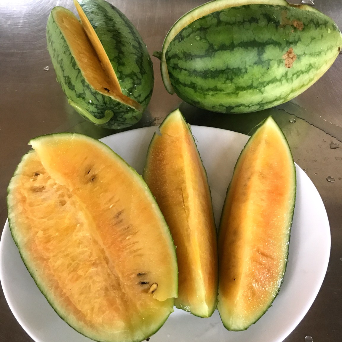 ARTfarm FRUITY Wednesday PopUp: 8/13/2025, 5-6pm:&nbsp;Watermelon!