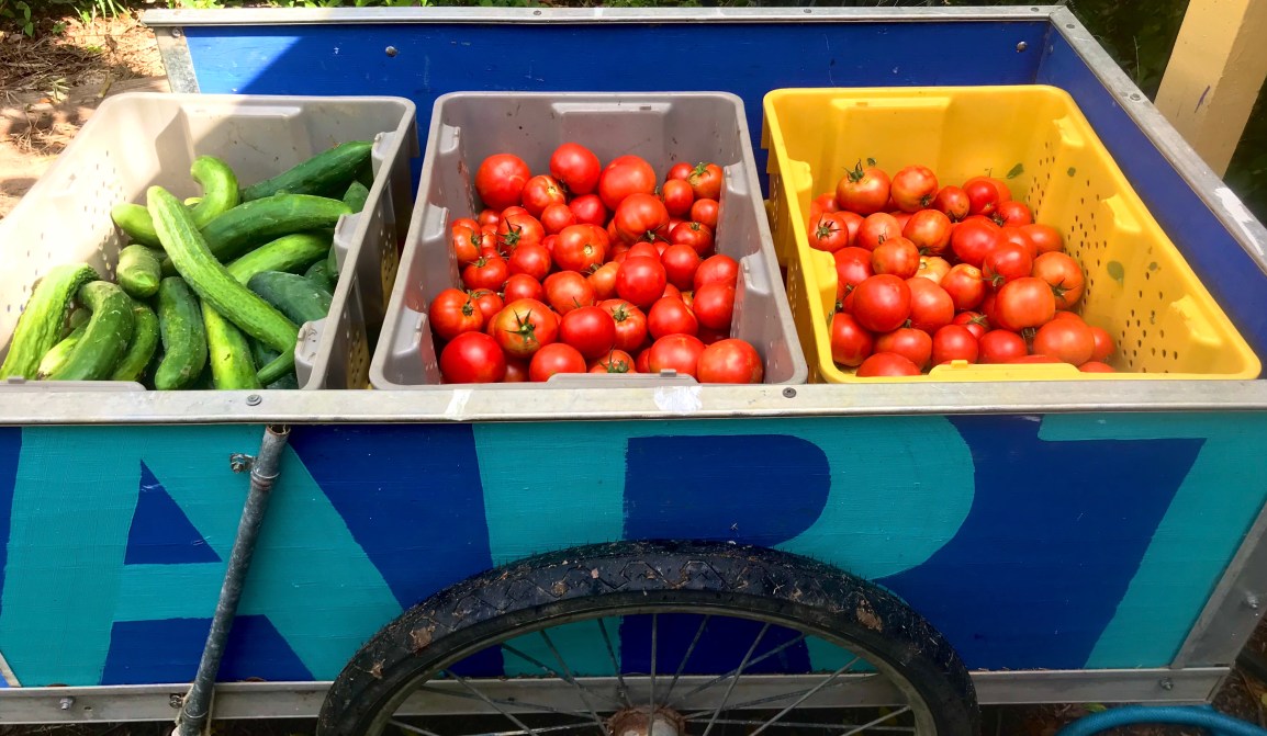 ARTfarm Saturday Morning Farmstand! 3/7/2026, 10:30 –&nbsp;11:30AM!