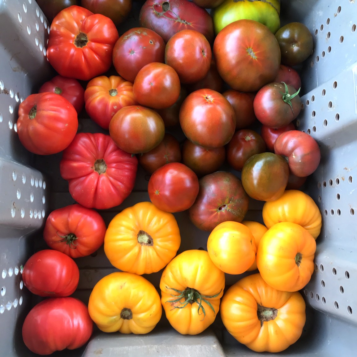 Wednesday ARTfarm Produce Pickups 2/3/2021: Rainbow&nbsp;Smiles