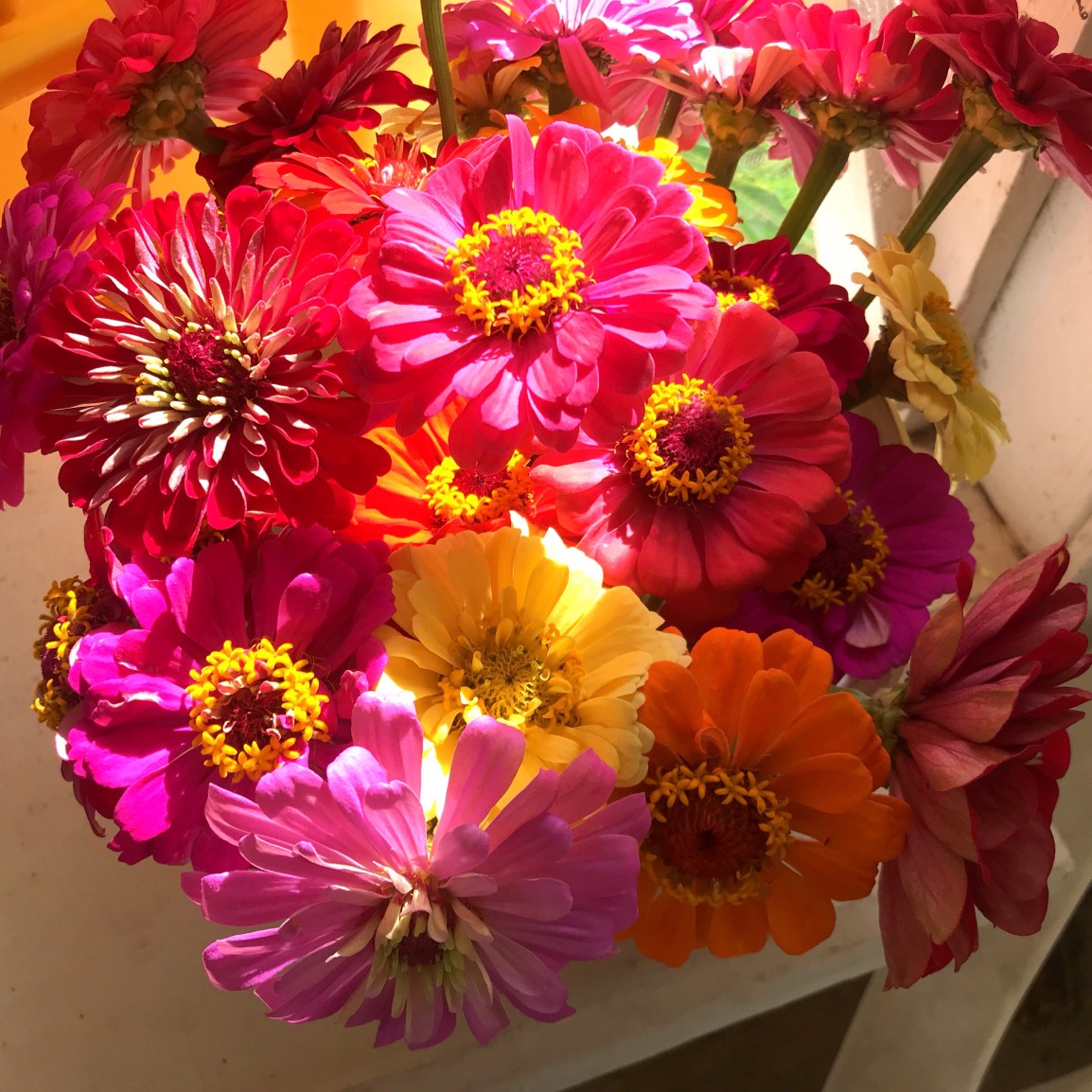 hot pink, orange and yellow zinnia flowers in a bouquet at the farmstand