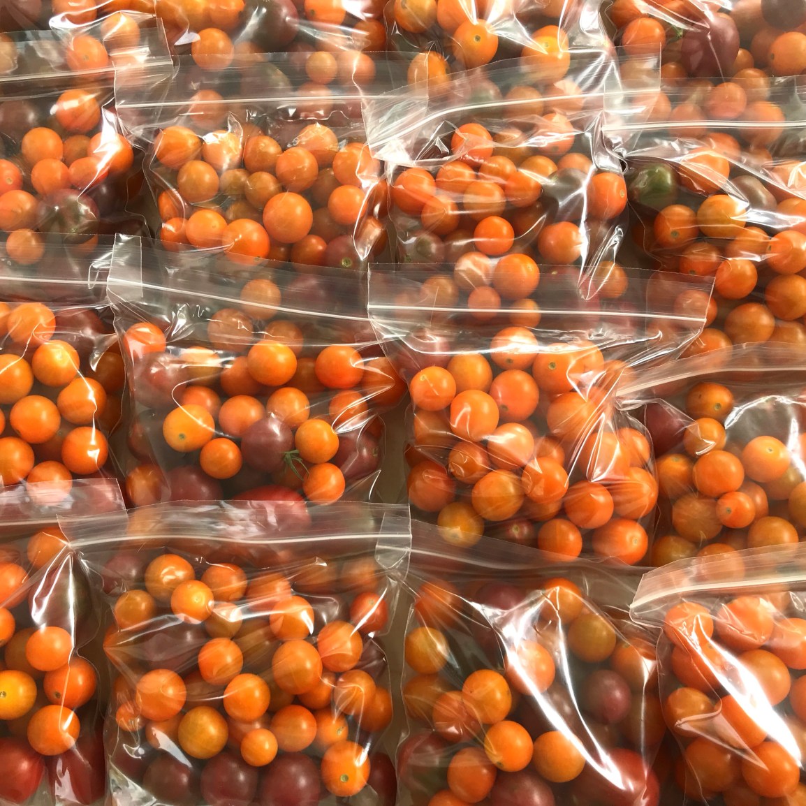 cherry tomatoes in pint plastic zip top bags