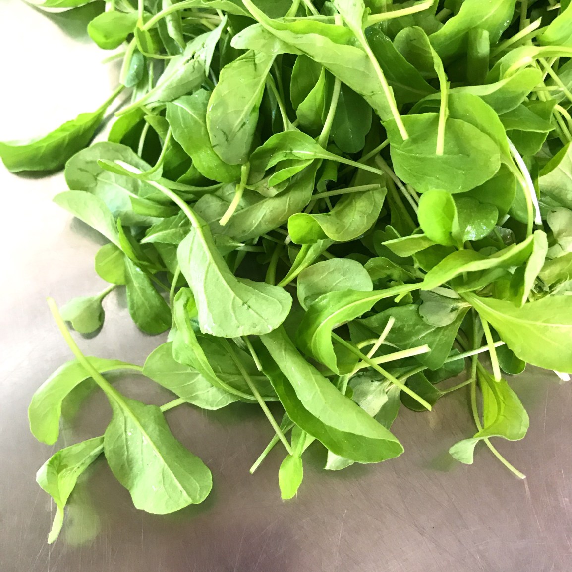 ARTfarm Reserved Pickups Wed. Feb. 15th! 4-6:30 pm. Sister Act this weekend at&nbsp;CCT!