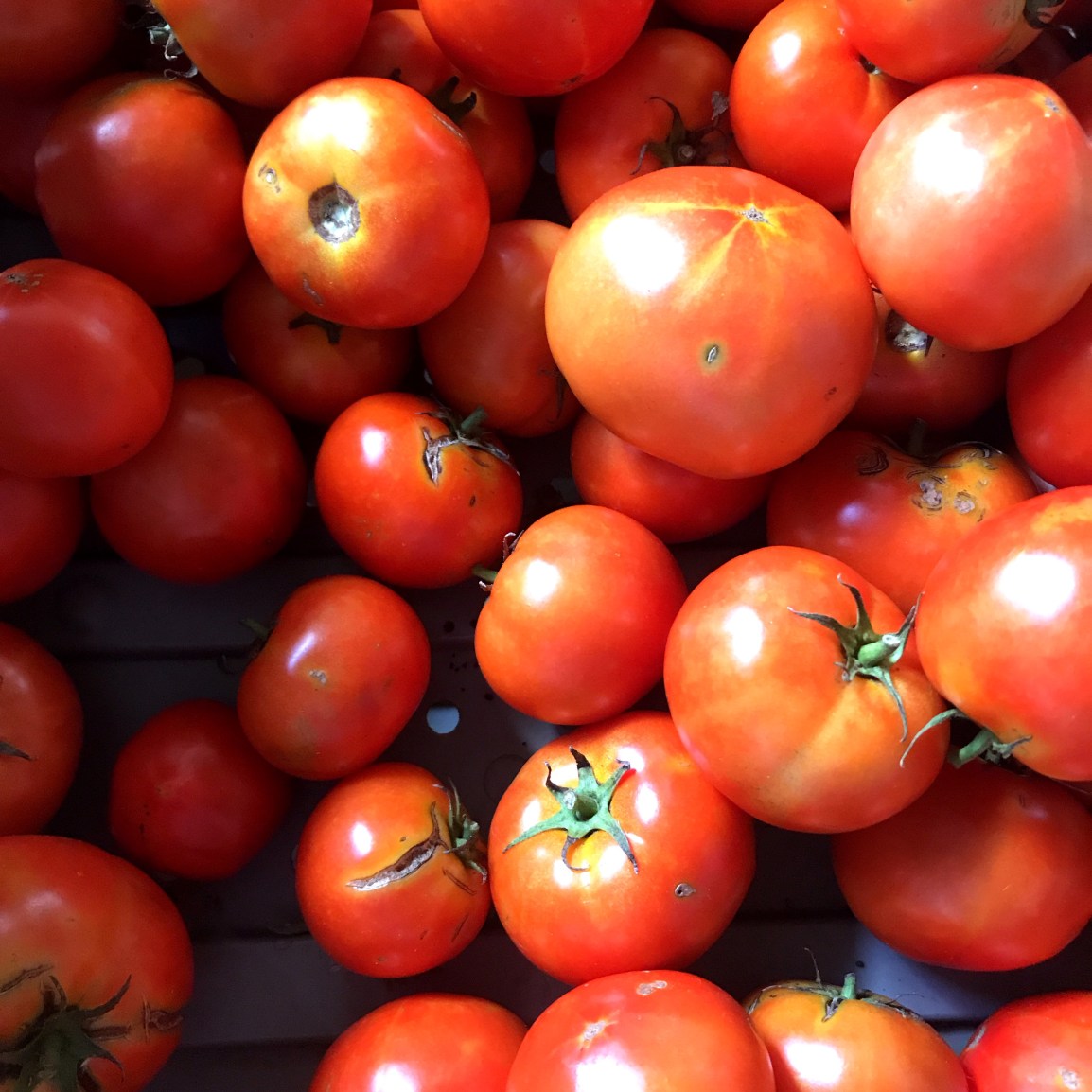 Order form for Saturday ARTfarm Produce Boxes 4/18/20, Commit to&nbsp;Health