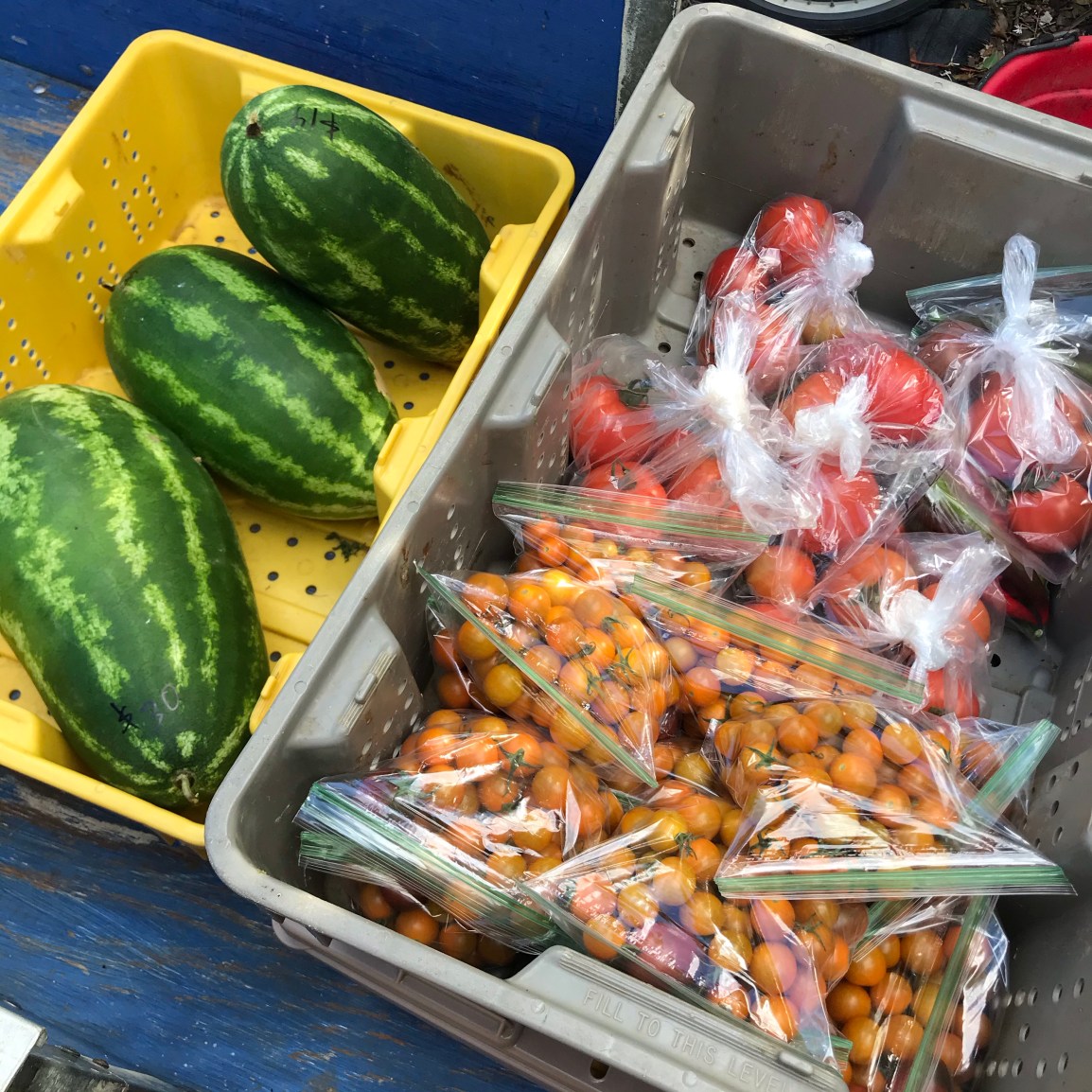 Wednesday ARTfarm Produce Pickups 12/30: Buh-Bye,&nbsp;2020!