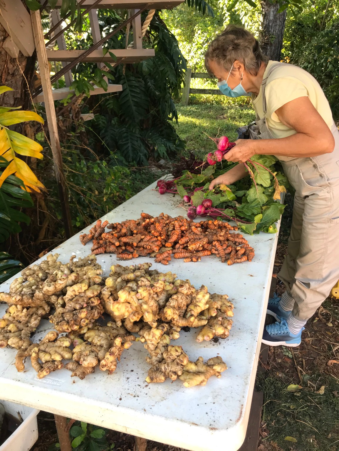 Saturday ARTfarm Produce Pickups 3/20/2021: Sweet&nbsp;Papayas!