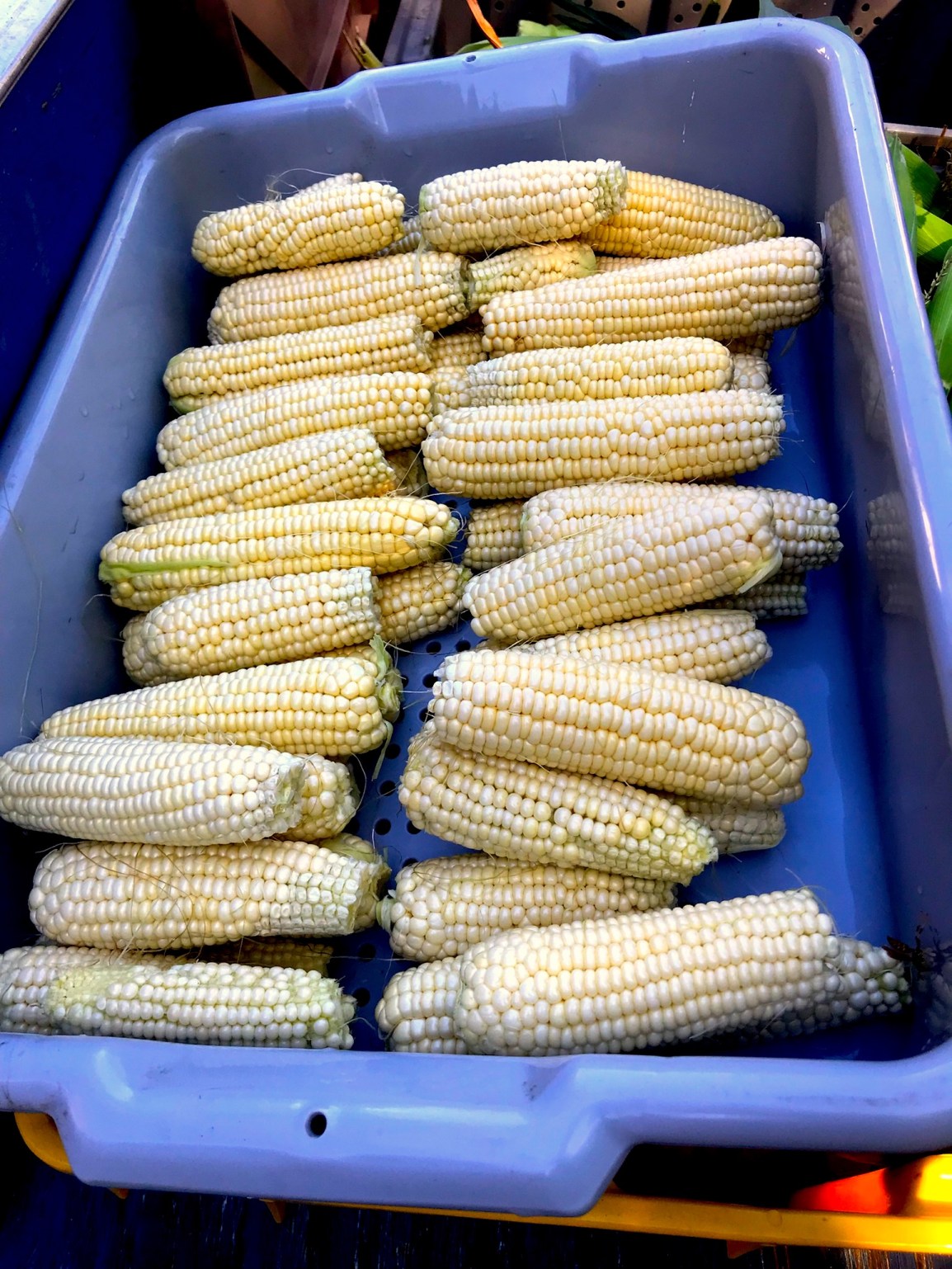 Signup for ARTfarm Pickups Wednesday February 1st! 4 pm – 6:15pm –SOLD&nbsp;OUT–