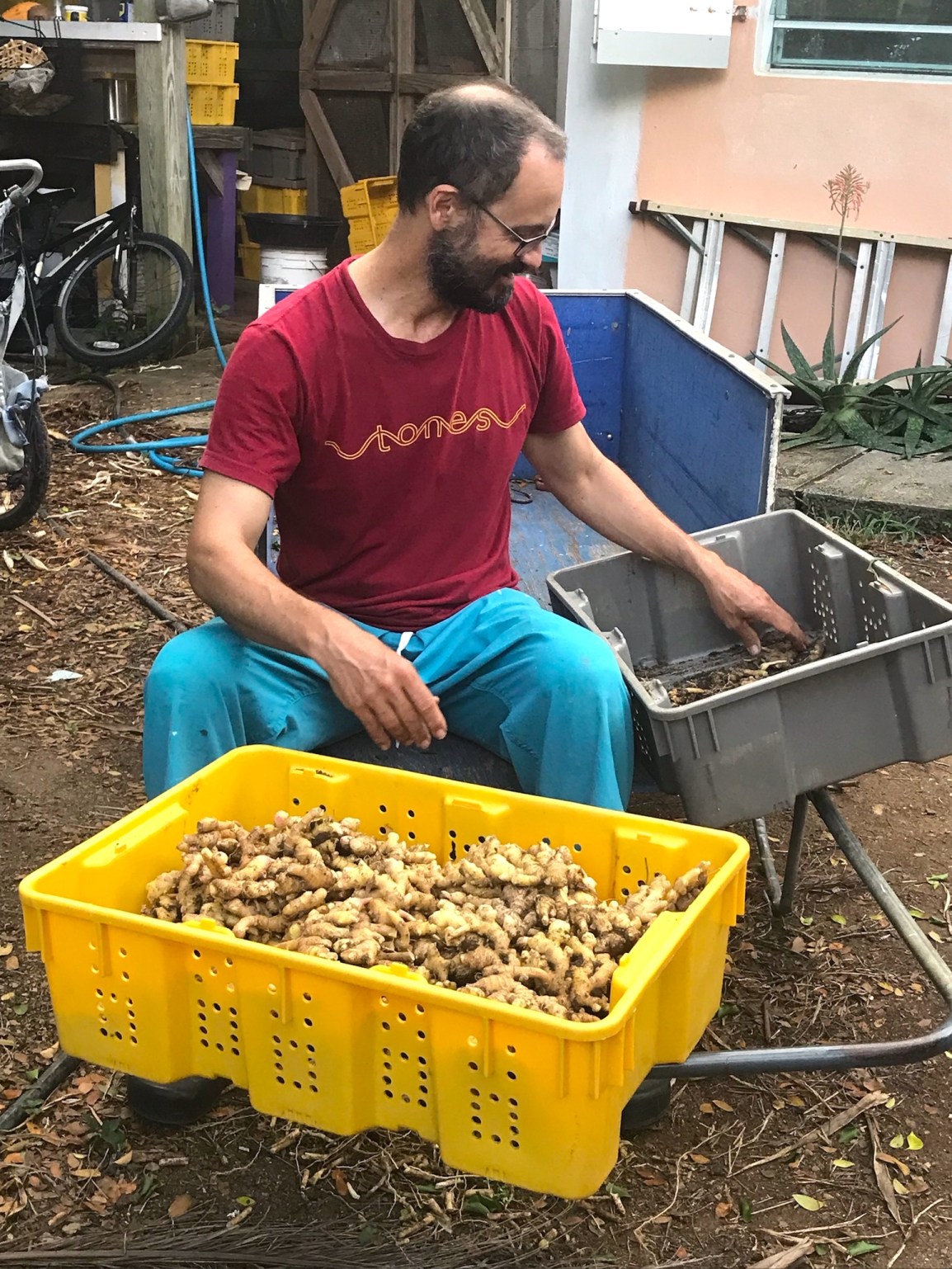 ARTfarm Farmshares Wednesday 1/19/2022, Preorders 4:30-6:30PM: Reserve your pickup&nbsp;slot!