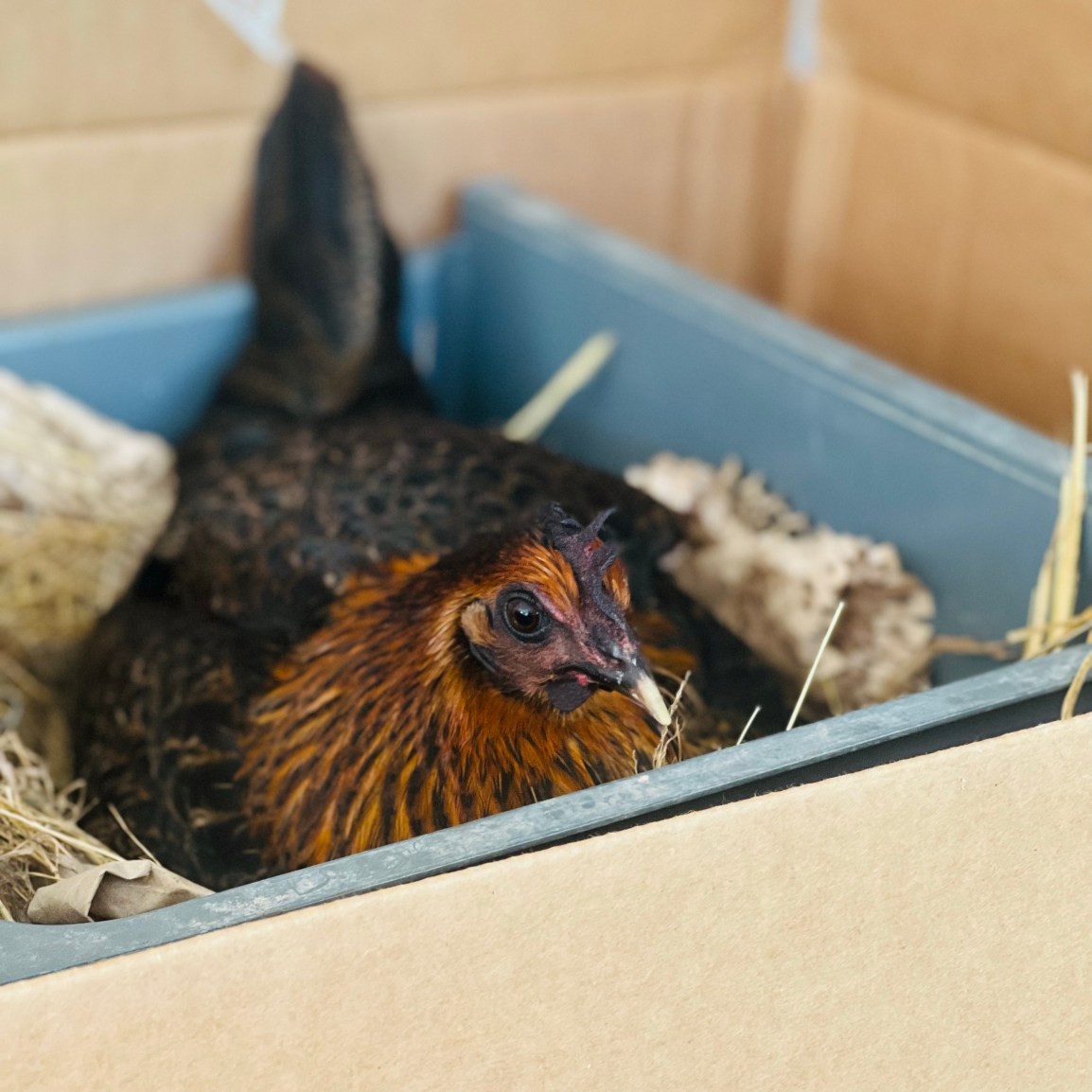 Be Back in a Few Weeks… Thank&nbsp;You!