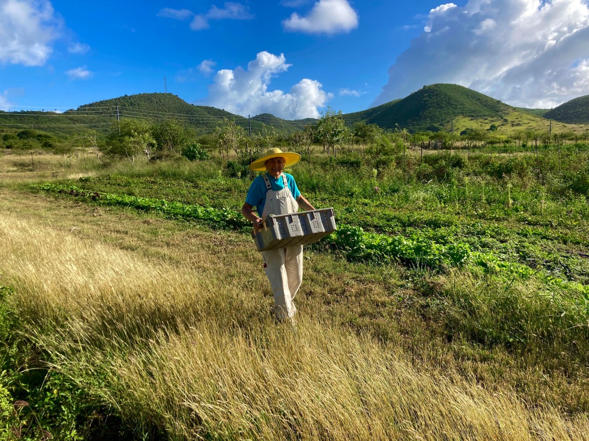 ARTfarm Farmshare Preorders for Pickup Wednesday 3/16/2022,&nbsp;4-6PM!