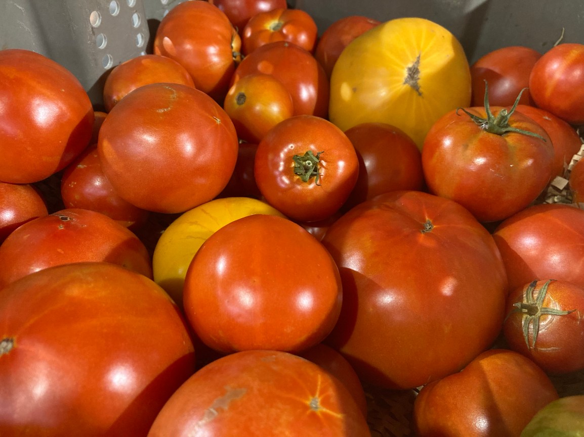 Signup for ARTfarm Pickups Wednesday January 25th! 4 pm – 5:45pm — SOLD OUT&nbsp;—