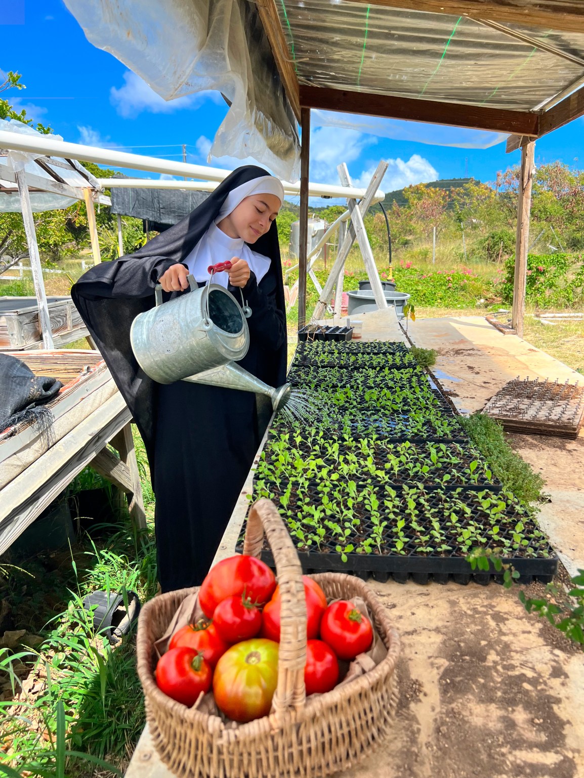 ARTfarm Reserved Pickups Wed. Feb. 8th! 4 pm – 6:30pm. Sister Act opens Friday night at&nbsp;CCT!