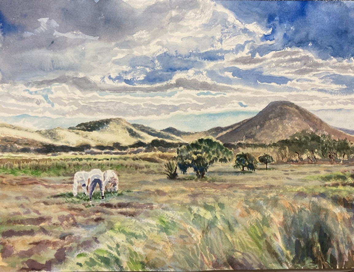 ARTfarm Saturday Pickups March 23rd! 10:30am – 12noon (open walk-ins&nbsp;11:30am-12pm)