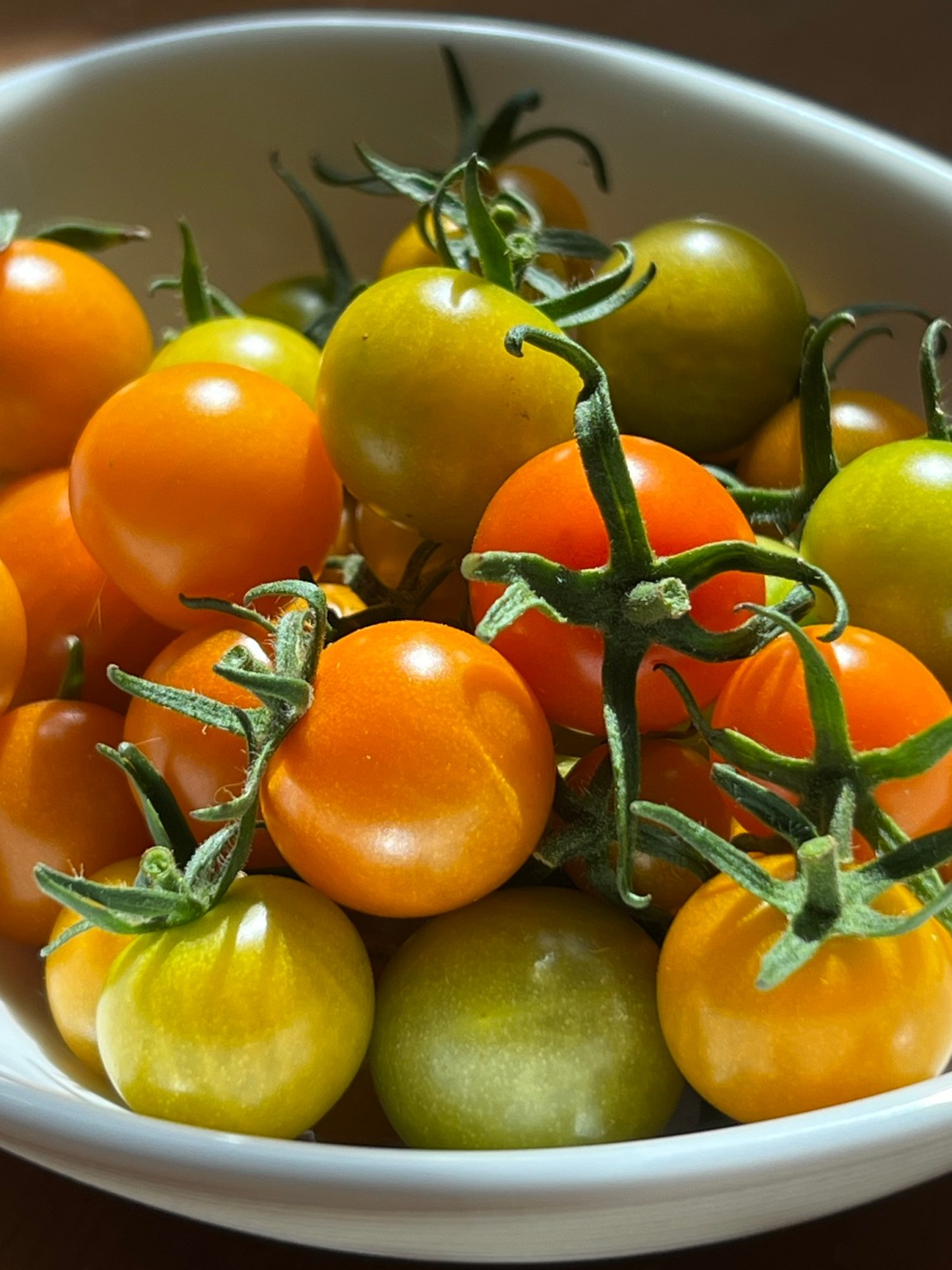 CH-CH-CH-CH-Cherry Tomatoes! ARTfarm Pickups tomorrow Wednesday January 17th! 4:30pm –&nbsp;6:15pm