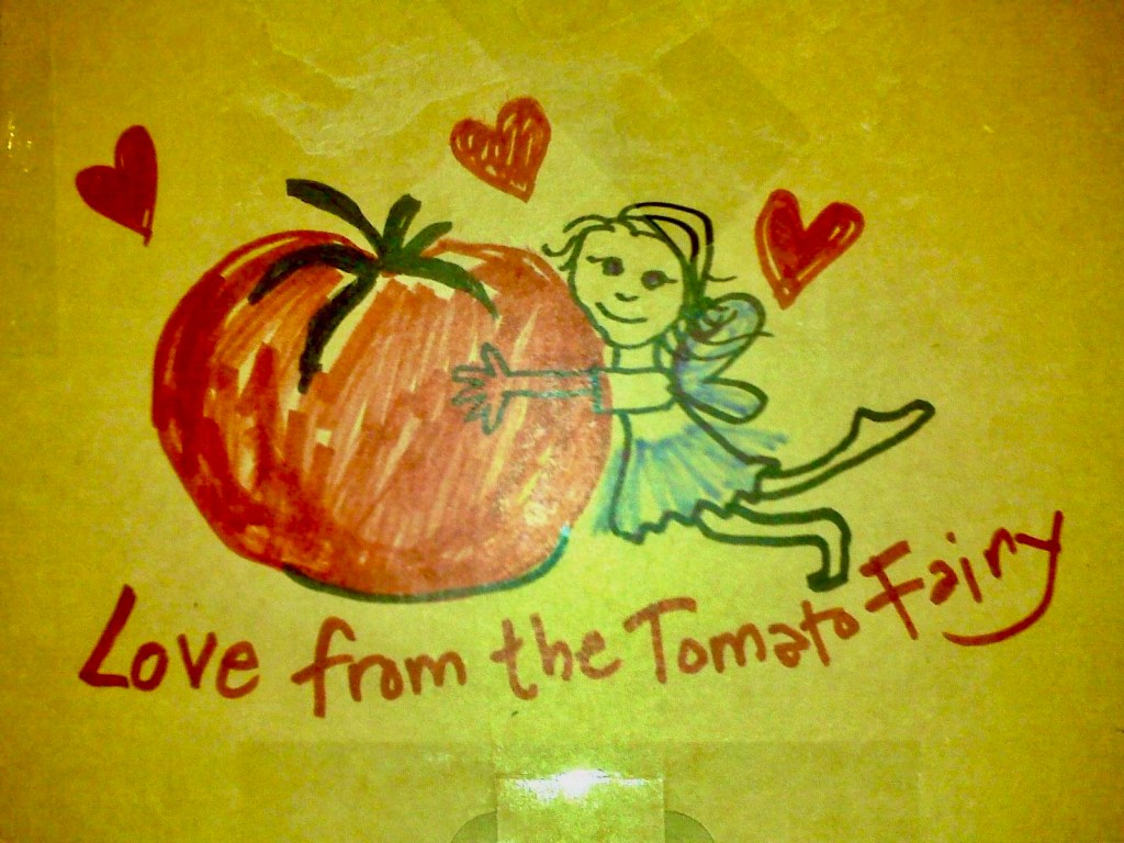 Love from the Tomato Fairy - a cartoon drawing of a tiny fairy with a huge tomato
