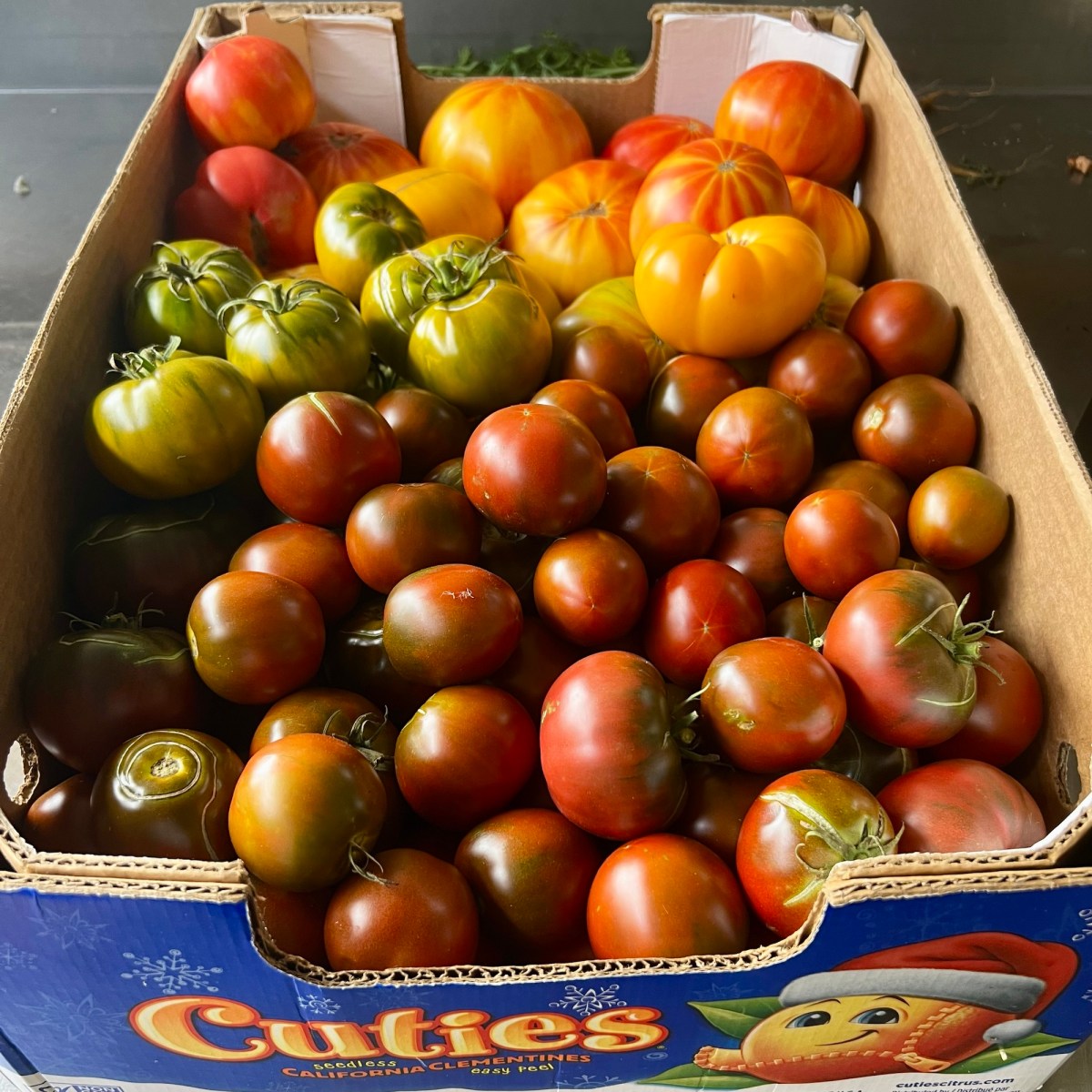 ARTfarm Wednesday Afternoon Farmstand! 1/21/2026, 4:30 – 5:30PM! All the&nbsp;TOMATOES!