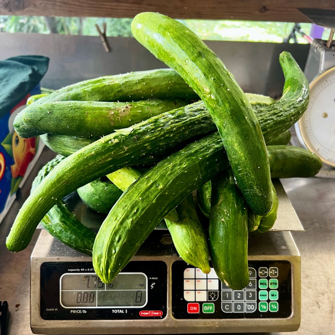 Sweet Salads! ARTfarm Tomatoes! Sign up for Wednesday Pickups February 7th! 4:30pm –&nbsp;6:30pm