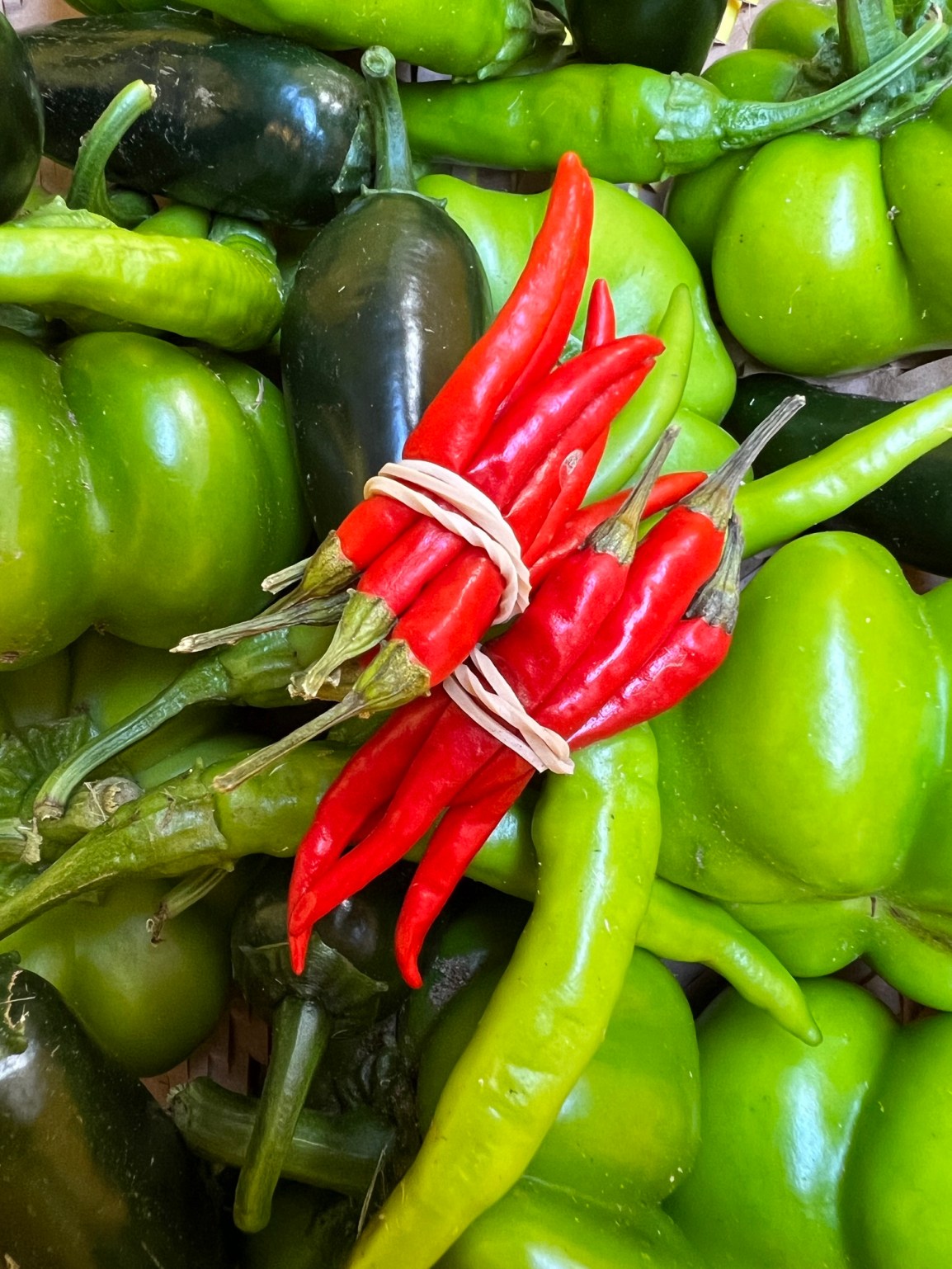 We Got You! ARTfarm Wednesday Pickups February 21st! 4:30pm – 6pm (or open hours no reservations&nbsp;5:30-6pm)