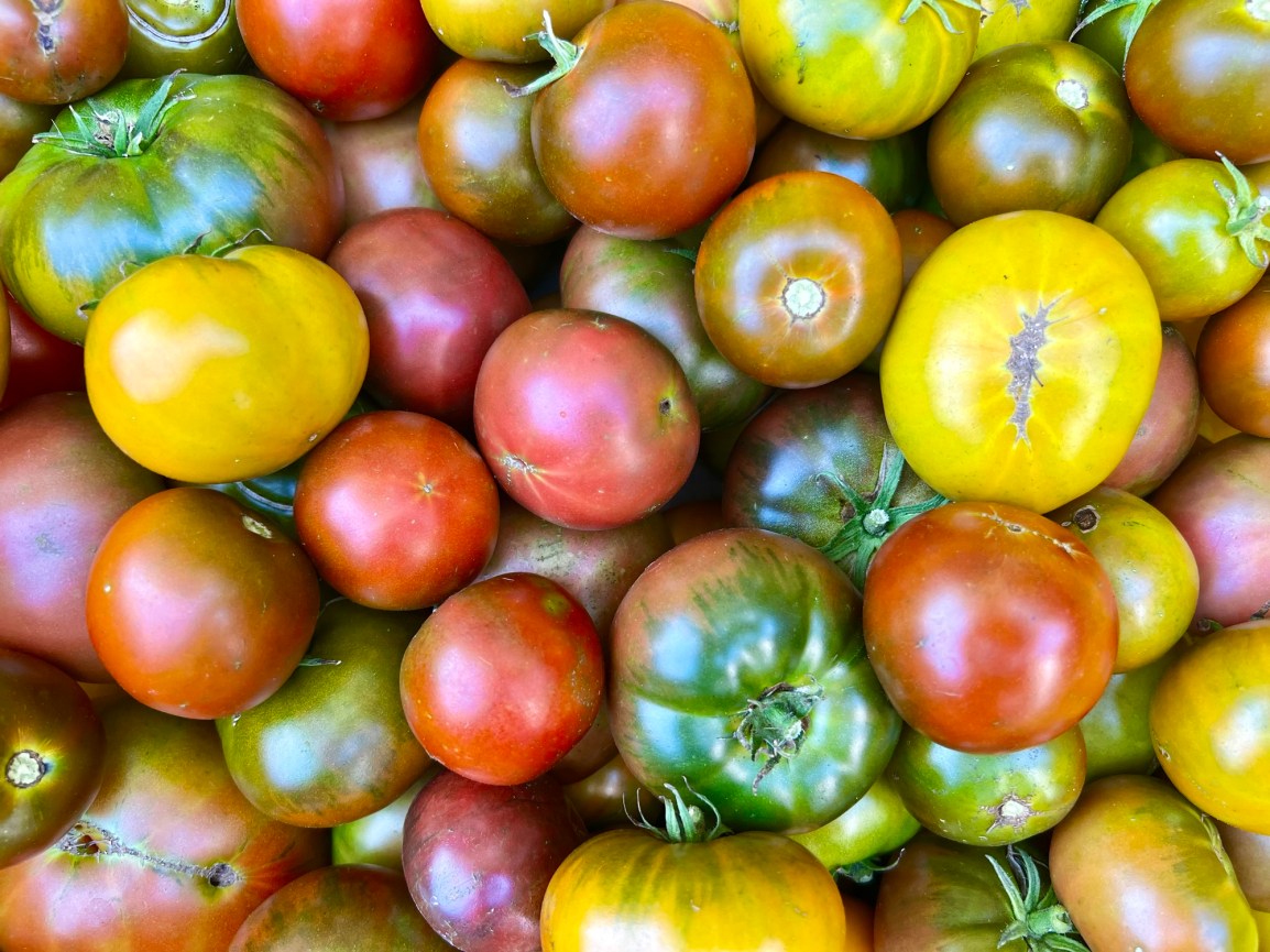 ARTfarm Wednesday PM: pep in your step with PEPPERS and tomatoes and salad mix… 2/19/2025, 5 – 6&nbsp;PM