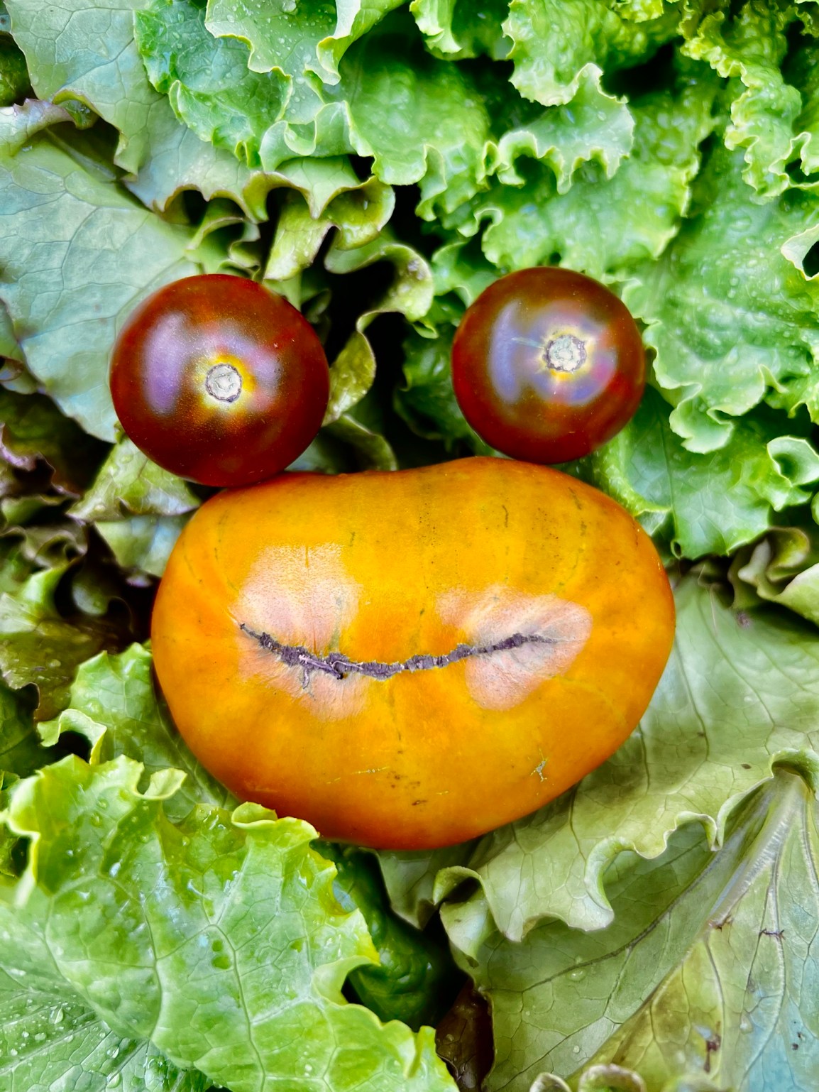 ARTfarm Wednesday PM: Tomatoes, tomatoes, tomatoes, tomatoes, and also these round red things… 2/26/2025, 5 – 6&nbsp;PM