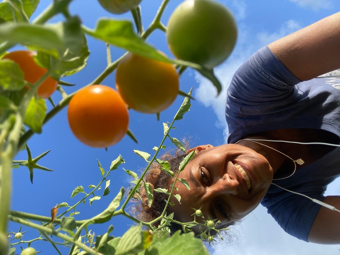 ARTfarm Saturday Pickups March 16th! 10:30am – 12:30 (or open hour walk-ins 12-1pm) LONGAN&nbsp;madness