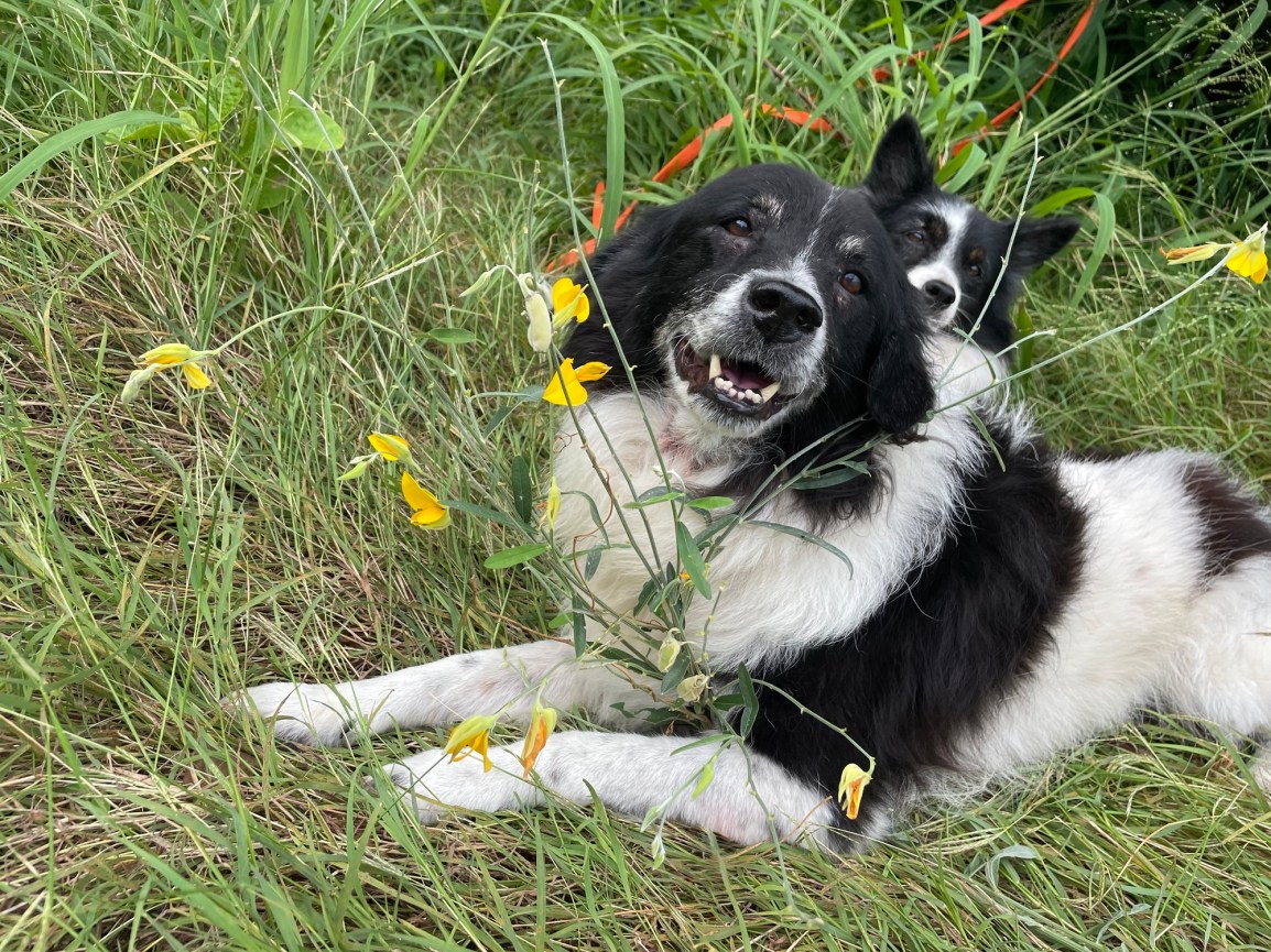ARTfarm TODAY Xmas Eve Tuesday SWEEEET SALAD MIX Popup 12/24/24, 4:30 –&nbsp;5pm