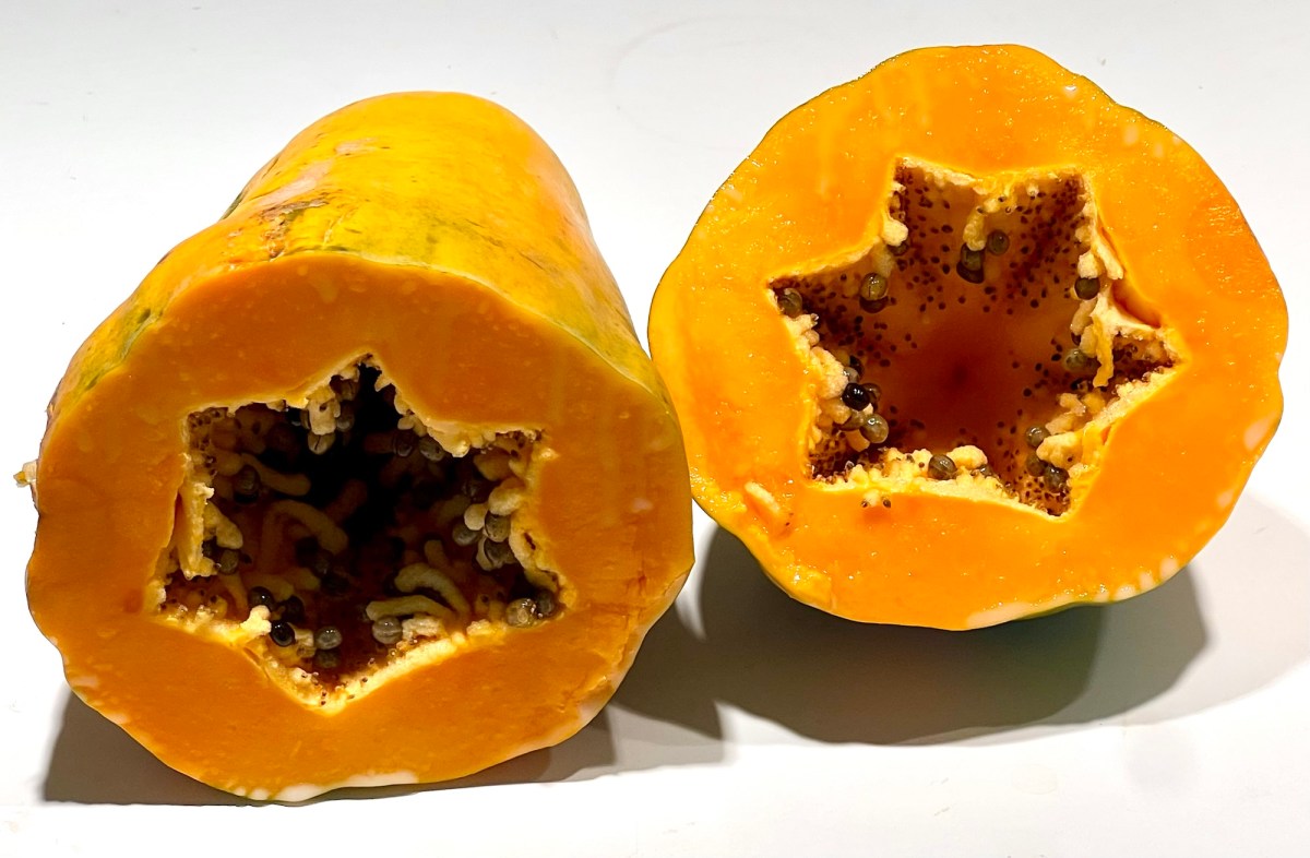 ARTfarm Saturday Farmstand! 4/11/2026, 10:30 – 11AM (no Wednesday&nbsp;stand)