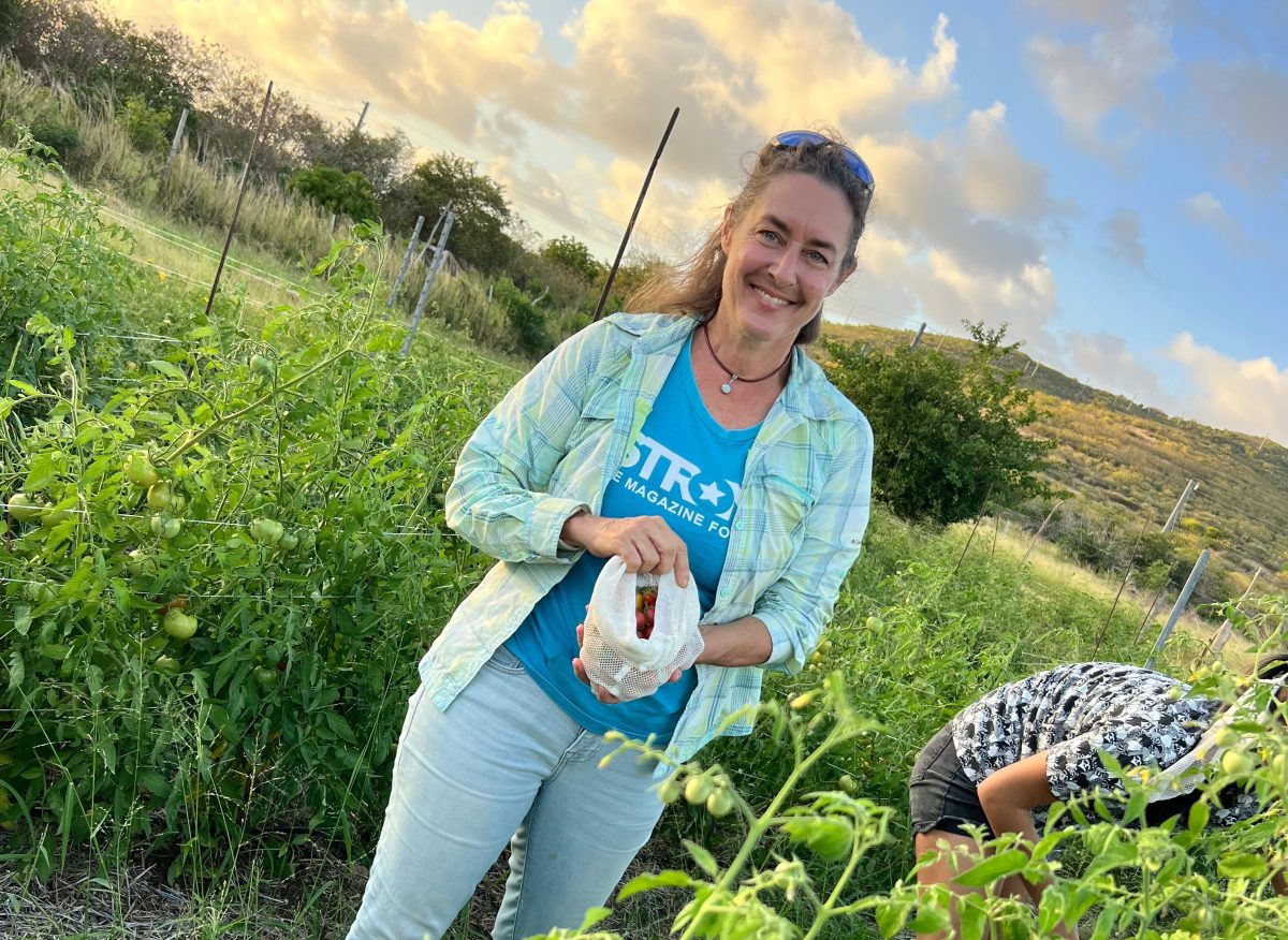 ARTfarm Wednesday Afternoon Mini Farmstand: 5/6/2026, 4:30PM –&nbsp;5PM