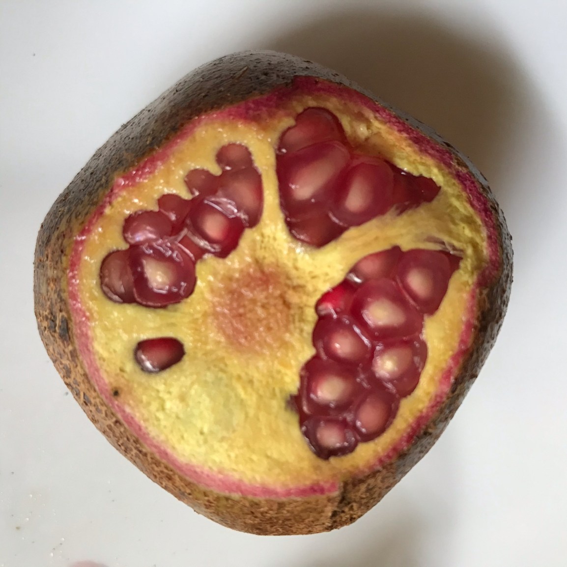 ARTfarm Saturday Sweet Salad Mix PopUp Farmstand! 8/1/2026, 10:30 – 11:30&nbsp;AM